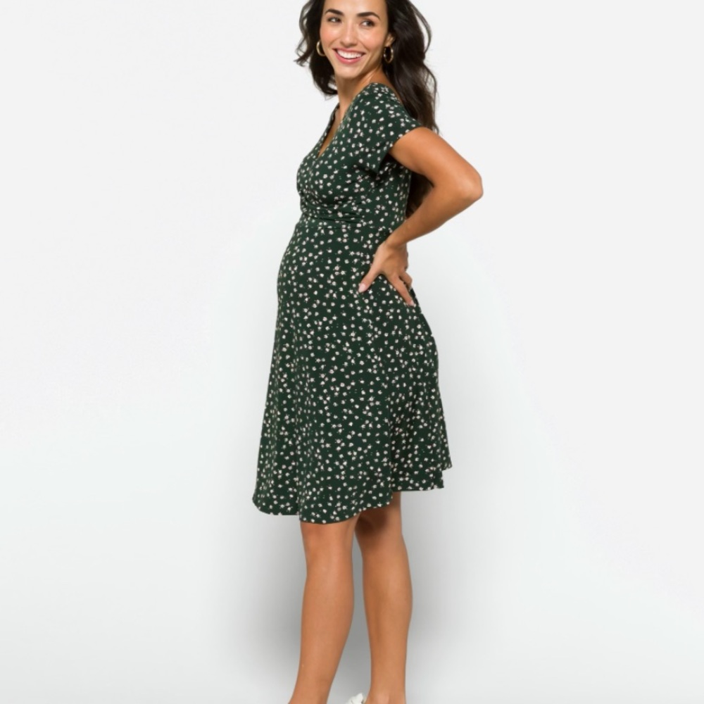 Kaleigh Amandine Maternity/Nursing Dress